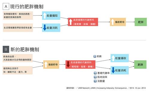 傳統以及新觀念的肥胖機制圖表